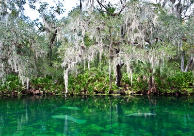 Visit Central Florida: The Beautiful Springs of DeLand