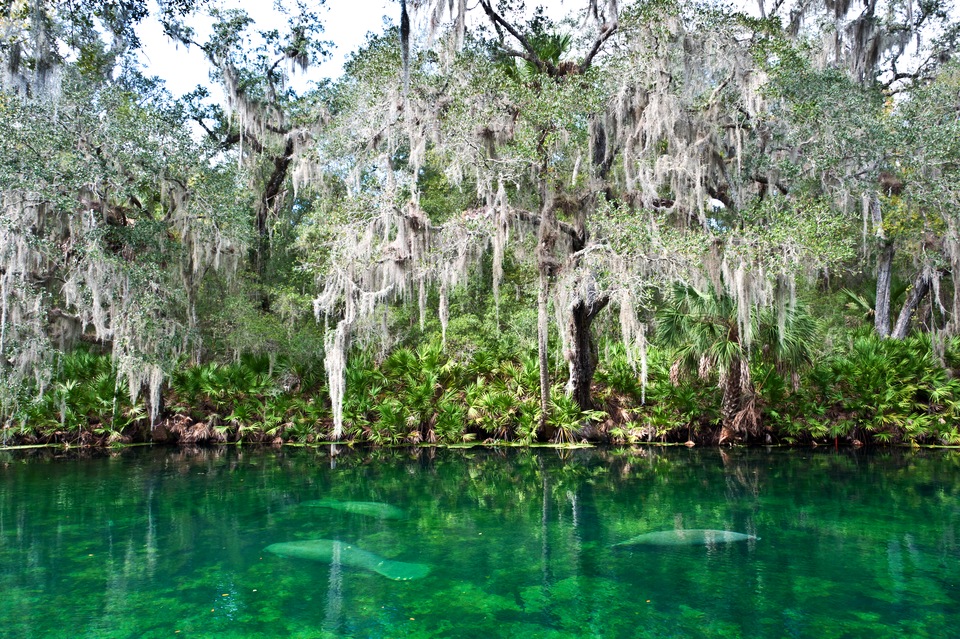 Visit Central Florida: The Beautiful Springs of DeLand