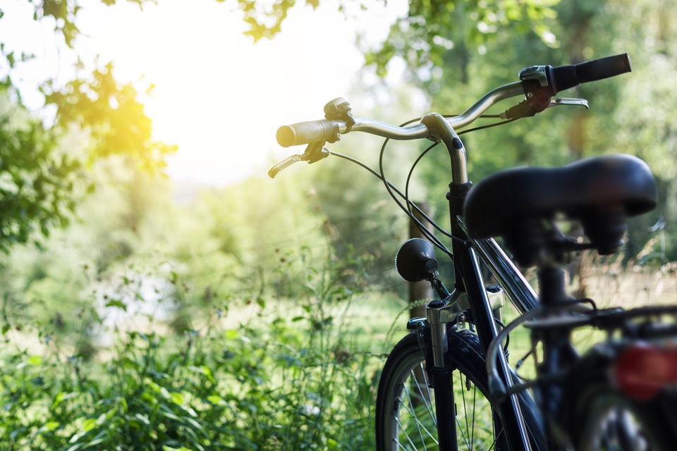 Biking in Volusia: Our Favorite Trails