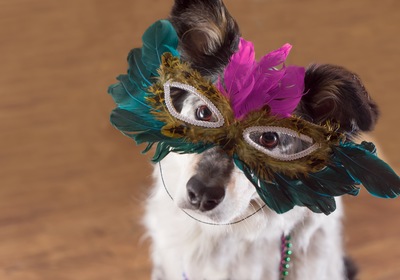 DeLand’s Annual Mardi Gras Dog Parade