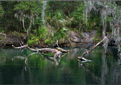 Exploring the Athens of Florida